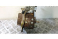 Vstřikovací čerpadlo 9656300380, BOMBAINYECCION   Peugeot 207 CC     