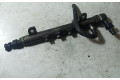 Vstřikovací lišta 55200251, 0445214117   Opel Vectra C     