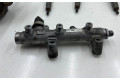 Комплект системы впрыска топлива 059130755BG, 0445010642    Audi A6 S6 C7 4G   