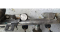 Vstřikovací lišta V75680518001   Peugeot 308     