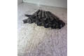Комплект форсунок 7785984, 5110041    BMW 3 E46   
