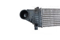 Интеркулер  876952N, A2215001000   Mercedes-Benz S W221 