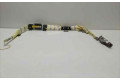 Подушка безопасности двери P04649127AH, 80098   Chrysler 300M