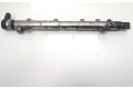 Топливная рампа A6460701895, A6420780149   Mercedes-Benz Vito Viano W639   для двигателя 646980