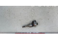 Форсунка 55577403, 815370    Vauxhall Astra K  B10XFL 