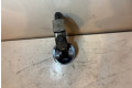 Píst 038107065EL, 038198401D   Volkswagen Transporter - Caravelle T5     
