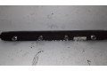 Топливная рампа 5WS40255   Land Rover Range Rover L322  