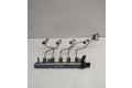 Vstřikovací lišta 175216420R, 8201044829   Renault Megane III     