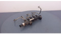Топливная рампа 965492680, 965492680   Peugeot 207 CC  