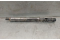 Vstřikovač A6650170221, 6650170121   SsangYong Rexton    D27DT 
