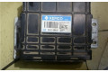 Řídící jednotka 3912138410, 9040930112A1   Hyundai Santa Fe 2003