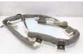Боковая подушка безопасности 517550870, 34019365C   Fiat Linea