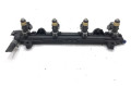 Топливная рампа 036133319BF   Volkswagen Polo IV 9N3  