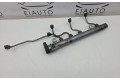 Vstřikovací lišta A6420702495, A6420780149   Mercedes-Benz S W221    642930 