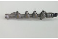 Vstřikovací lišta 55234039, 55234039   Alfa Romeo Giulietta     