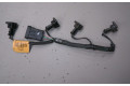 Форсунка 8200379181    Renault Twingo II   