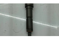 Форсунка 0445110209, 7794435    BMW 3 E90 E91 для дизельного двигателя  2