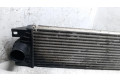 Интеркулер  IA1074867658F, 867658F   Nissan Interstar 2.5
