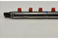 Vstřikovací lišta 13537805423, 13537805423   BMW X3 F25    N57Z 