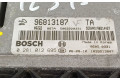Řídící jednotka 96813187, 96814427   Chevrolet Captiva 2007