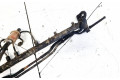 Vstřikovací lišta A6680700095, 0445214005   Mercedes-Benz A W168     