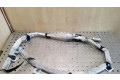 Боковая подушка безопасности 84342022504A, 30380659D   BMW X3 E83