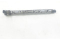 Vstřikovací lišta 7809127, 13537809127   BMW 1 F20 F21     