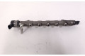 Vstřikovací lišta 0281006405, 314022F600   Hyundai i30    D4FB 