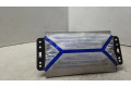 Подушка безопасности пассажира 6002801A, 6004238B   Renault Megane II