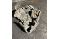 Vstřikovací čerpadlo FUELPUMPCOVER   Land Rover Range Rover Sport L494    448dt 