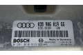 Комплект блоков управления 038906019GG, 0281010813   Audi A4 S4 B6 8E 8H