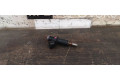 Форсунка 166009685R, 166009685R    Smart ForFour II W453  999ccm | 52kW | 281920 
