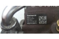 Vstřikovací čerpadlo 9676289780, 1720038   Ford Mondeo MK IV    T1BB 