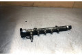 Vstřikovací lišta A6510700595, 9144230   Mercedes-Benz C W204    651.911 