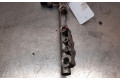 Vstřikovací lišta 175204385R, 1502510142   Nissan Pulsar    HRA2DDT 