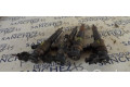 Форсунка 0445110135, INYECTOR    Peugeot 206+ для бензинового двигателя  
