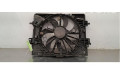 Комплект вентиляторов     214814625R    Renault Arkana 