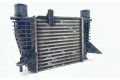 Интеркулер  14461EM00A, 14461EM00A   Nissan Juke I F15 