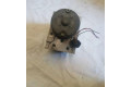 Блок АБС 4B0614517H, 4B0614517H   Audi  A6 Allroad C5  1999 - 2005 года