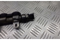 Топливная рампа 8200610223   Renault Laguna III  