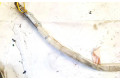 Надувная подушка для крыши 7l6880742c, 0491yc05j77c   Volkswagen Touareg I