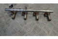 Vstřikovací lišta CJ5G-9H487-BA, 02651   Ford Kuga II    JQMA 