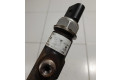 Vstřikovací lišta 96868901, R9144Z300A   Opel Antara     