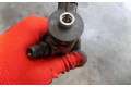 Комплект форсунок 0845110980    Peugeot 5008 II  YH01 