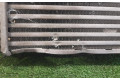 Интеркулер  51964106, 330A1000   Fiat 500L 