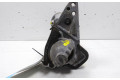 Подушка безопасности двери 233006662R, M000TD2671   Renault Scenic IV - Grand scenic IV