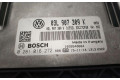 Řídící jednotka 03L907309K   Volkswagen Multivan T5 2009