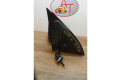 Zpětné zrcátko  Volkswagen Lupo 1998  6X1857507B01C, 6X1857507B01C  