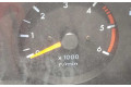 Přístrojová deska  Nissan Terrano 1999 248107F012  