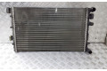 Vstřikovač 6Q0121253L   Skoda Fabia Mk1 (6Y)     